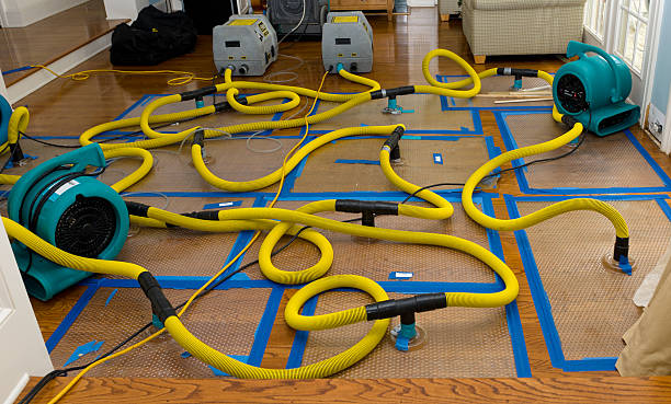 Professional Storm Water Damage Restoration technician working in Trafalgar, IN